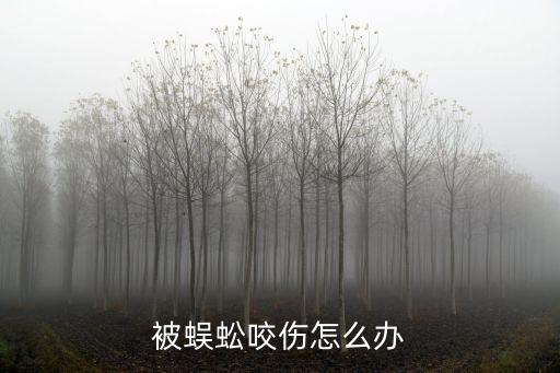 被蜈蚣咬傷怎么辦
