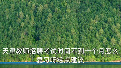 天津教師招聘考試時間不到一個月怎么復習呀給點建議