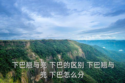  下巴翹與兜 下巴的區別 下巴翹與兜 下巴怎么分