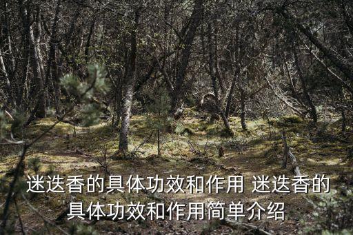  迷迭香的具體功效和作用 迷迭香的具體功效和作用簡單介紹