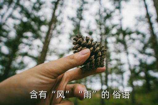  含有“風”“雨”的 俗語