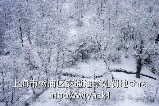 上海市楊浦區(qū)交通違章處罰地chrainbowwtyask1