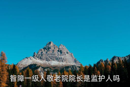 智障一級(jí)入敬老院院長(zhǎng)是監(jiān)護(hù)人嗎