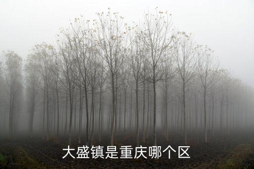 重慶省重慶市盛塔山屬于什么區(qū)，大盛鎮(zhèn)是重慶哪個(gè)區(qū)