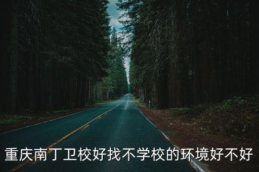 重慶市南丁衛(wèi)生職業(yè)技術(shù)學(xué)校，重慶沙坪壩南丁衛(wèi)校是私人開的還是國企