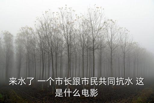 成都市長王鳳朝宣傳片，來水了 一個市長跟市民共同抗水 這是什么電影