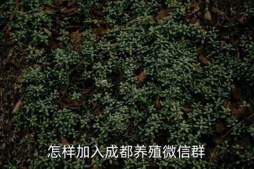 怎樣加入成都養殖微信群