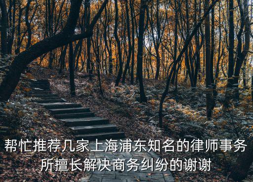 幫忙推薦幾家上海浦東知名的律師事務所擅長解決商務糾紛的謝謝