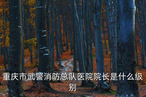 重慶市武警醫院副院長，中國人民武裝警察部隊重慶市消防總隊醫院