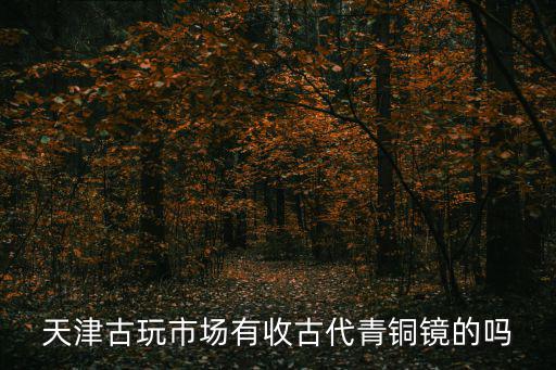 天津古玩市場有收古代青銅鏡的嗎