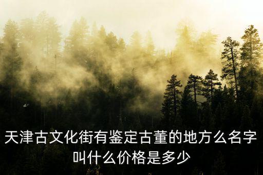 天津古文化街有鑒定古董的地方么名字叫什么價格是多少