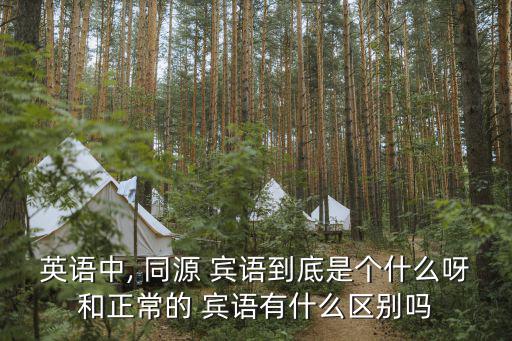 英語中, 同源 賓語到底是個什么呀和正常的 賓語有什么區別嗎