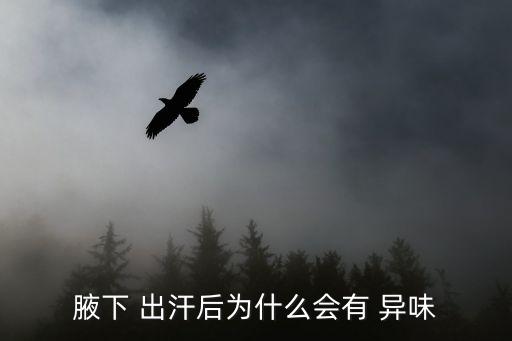 腋下 出汗后為什么會(huì)有 異味