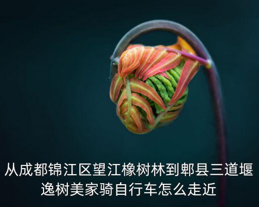從成都錦江區望江橡樹林到郫縣三道堰逸樹美家騎自行車怎么走近