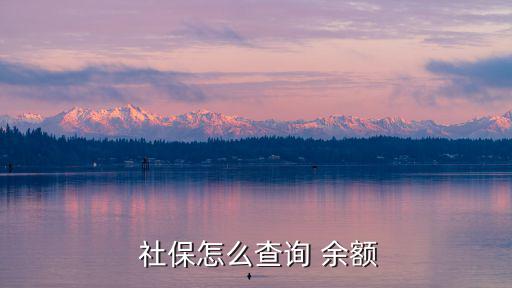 怎么查社保余額,社保該卡個(gè)人賬戶余額查詢方式如下