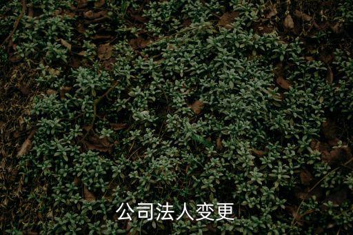 企業法人變更，公司法人變更