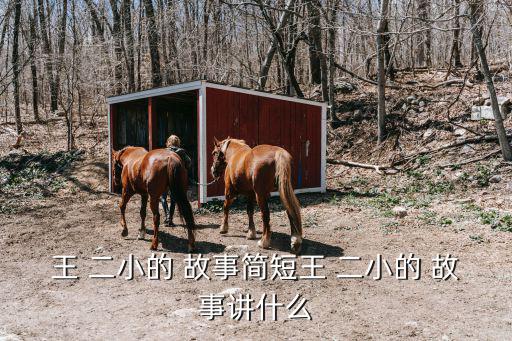 王二小的英雄故事,13歲中國青年抗日英雄王二小被殘酷殺害