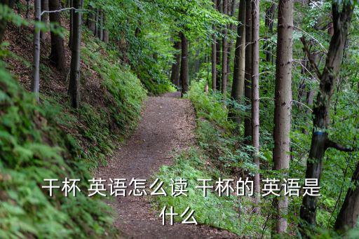 干杯 英語怎么讀 干杯的 英語是什么