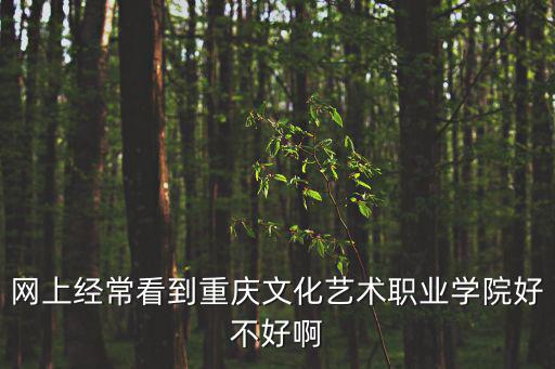 網上經?？吹街貞c文化藝術職業學院好不好啊