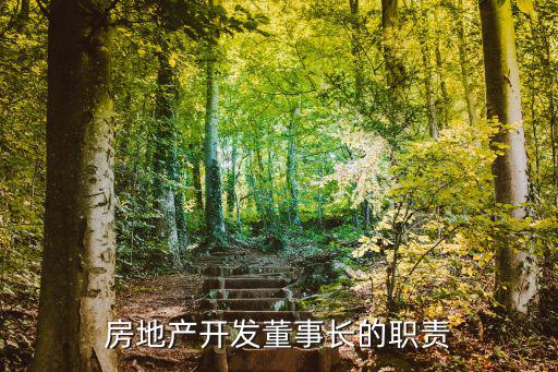 房地產開發董事長的職責