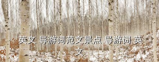 導游英文,中英導游word詳解