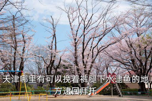 天津市能抓魚的地方，現在塘沽驢駒河還能趕海拾貝嗎