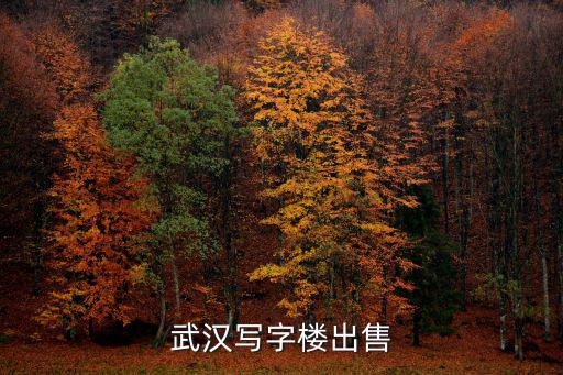 武漢寫(xiě)字樓出售信息，武漢光谷附近的寫(xiě)字樓出售
