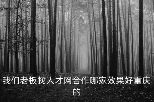 我們老板找人才網合作哪家效果好重慶的