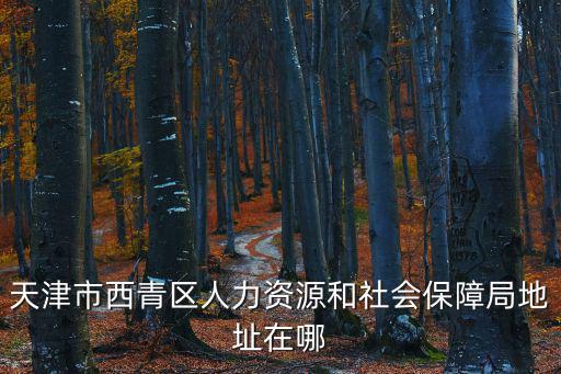 天津市西青區勞動局，天津市西青區人力資源和社會保障局地址在哪