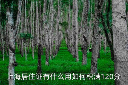 上海居住證有什么用如何積滿(mǎn)120分