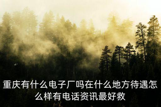 重慶有什么電子廠嗎在什么地方待遇怎么樣有電話資訊最好救