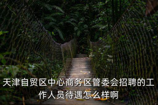 天津自貿區中心商務區管委會招聘的工作人員待遇怎么樣啊