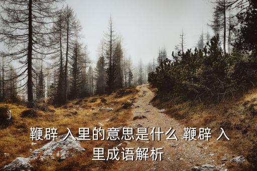  鞭辟 入里的意思是什么 鞭辟 入里成語解析