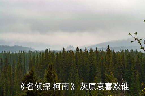 《名偵探 柯南》 灰原哀喜歡誰