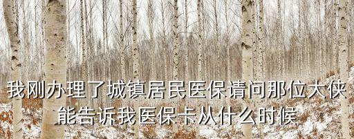 我剛辦理了城鎮居民醫保請問那位大俠能告訴我醫保卡從什么時候
