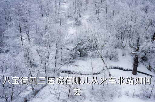 八寶街四三醫院在哪兒從火車北站如何去