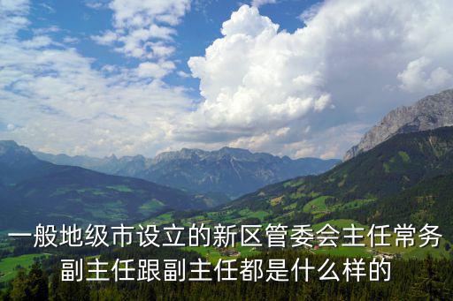 一般地級市設立的新區(qū)管委會主任常務副主任跟副主任都是什么樣的