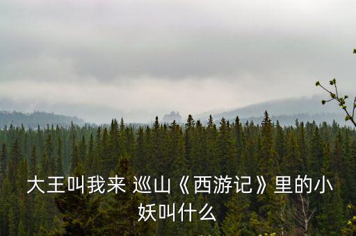  大王叫我來 巡山《西游記》里的小妖叫什么