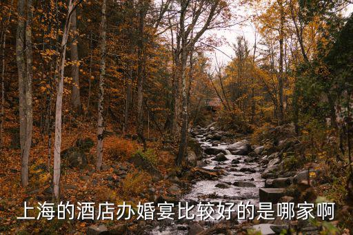 上海的酒店辦婚宴比較好的是哪家啊