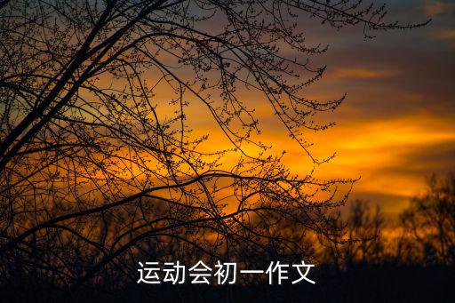 運(yùn)動(dòng)會(huì)初一作文