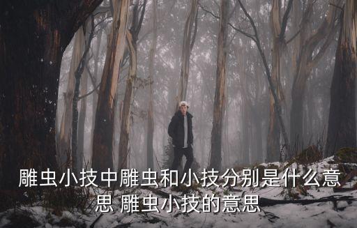 雕蟲小技,雕蟲小技由"雕蟲篆"發(fā)展而來