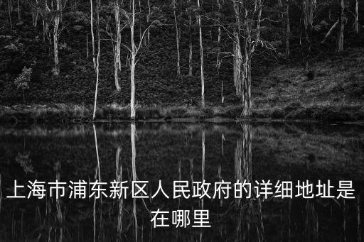 上海市浦東新區(qū)人民政府的詳細(xì)地址是在哪里