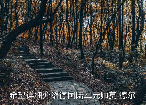 莫德爾,德國數(shù)學家提出mo德爾猜想獲年度諾貝爾獎
