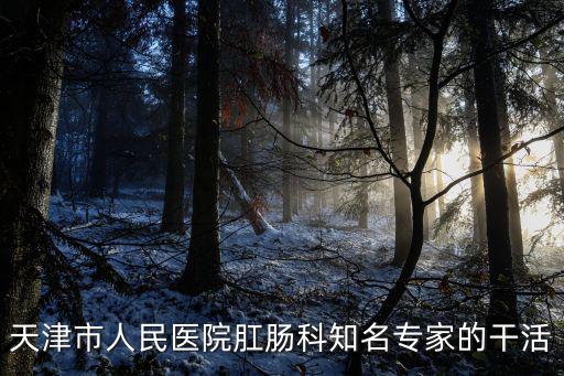 天津市人民醫(yī)院肛腸科知名專家的干活