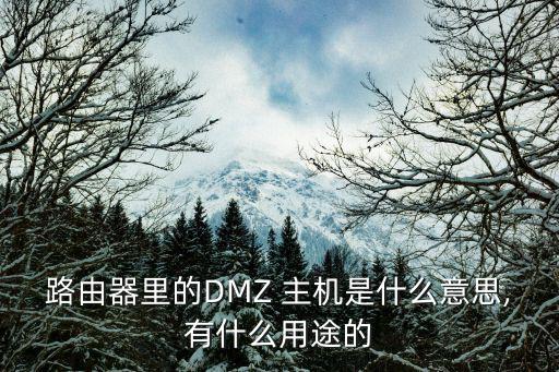 路由器里的DMZ 主機是什么意思,有什么用途的