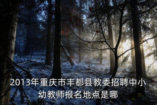 2013年重慶市豐都縣教委招聘中小幼教師報名地點是哪