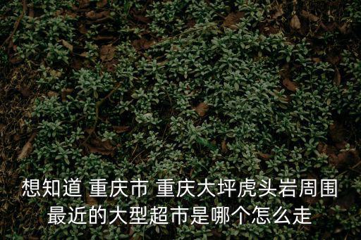 重慶市渝中區大坪新世紀超市，重慶大坪有什么好點的超市