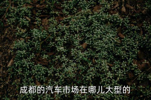 成都的汽車市場在哪兒大型的