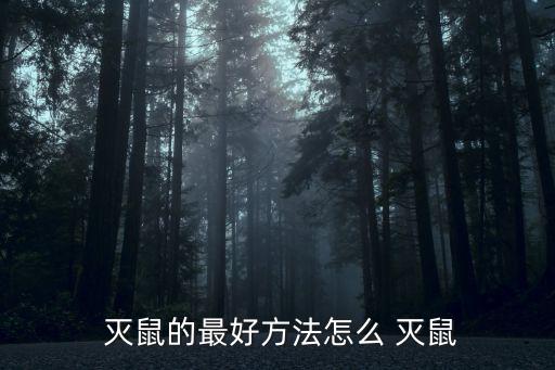  滅鼠的最好方法怎么 滅鼠