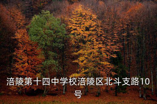 重慶市涪陵十中學校宣傳片，涪陵那個中學最好